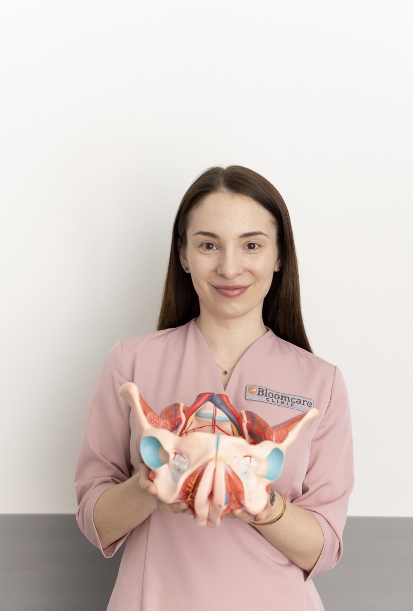 Анатомия тазового дна